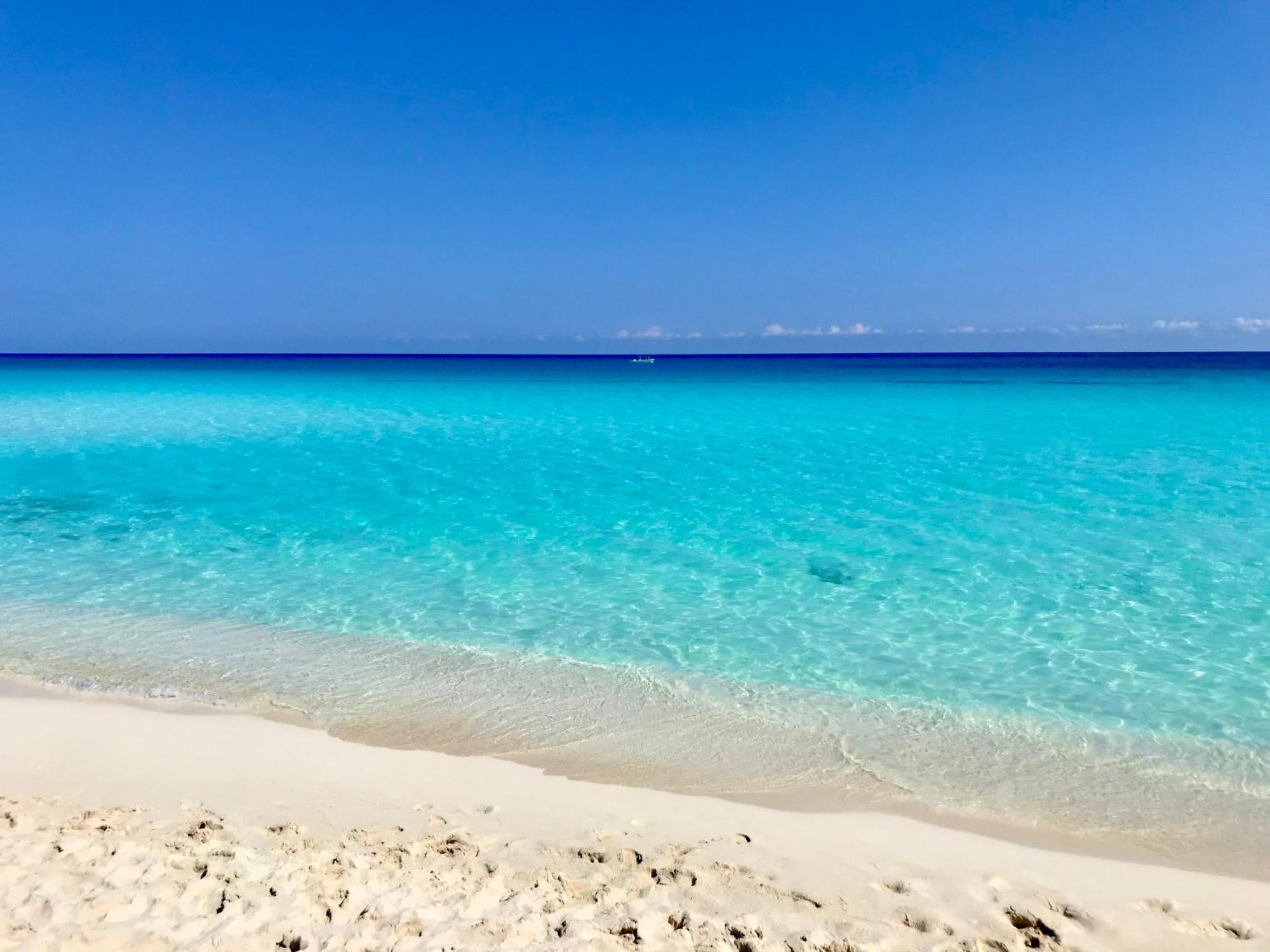Beachside Apartments كانكون المظهر الخارجي الصورة